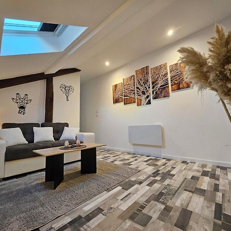 Joli Appartement Mansarde ديسيزو المظهر الخارجي الصورة